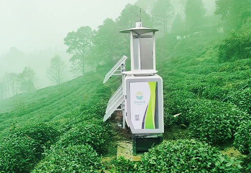 京东农场蒙顶皇茶种植基地