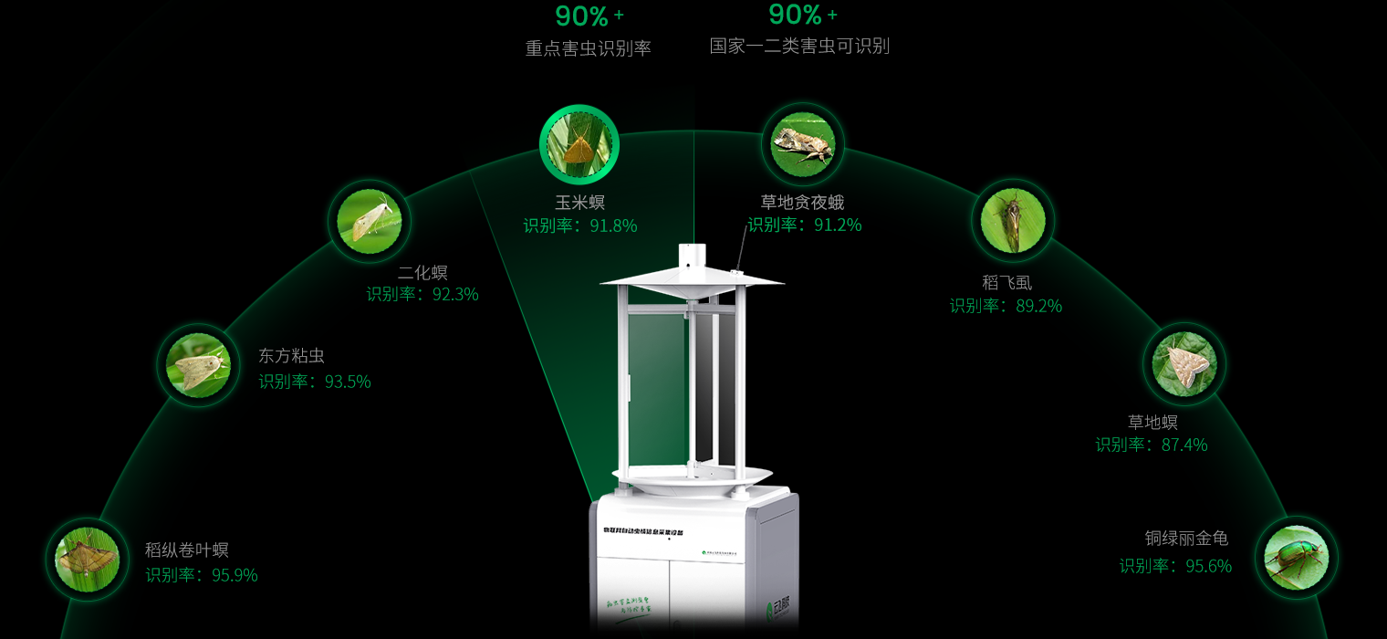 AI虫脸识别,让害虫无处遁形