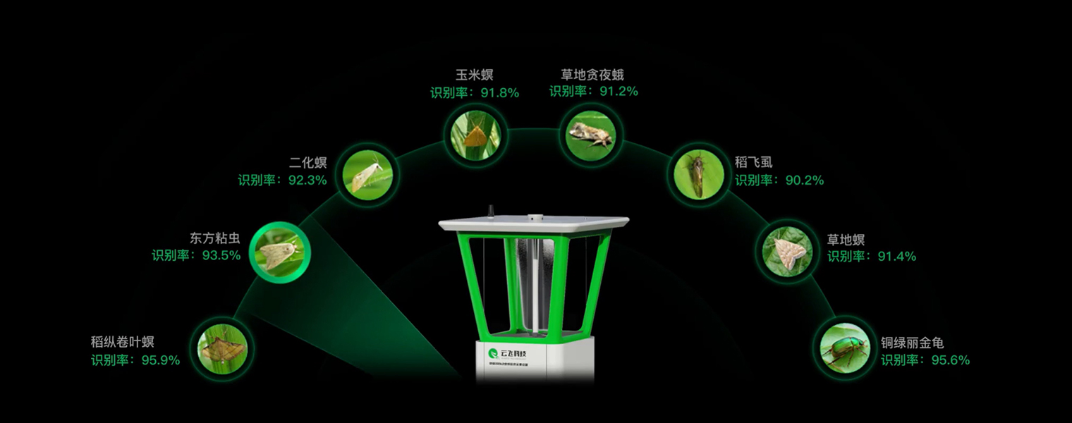 对农作物危害大的害虫统统拿下