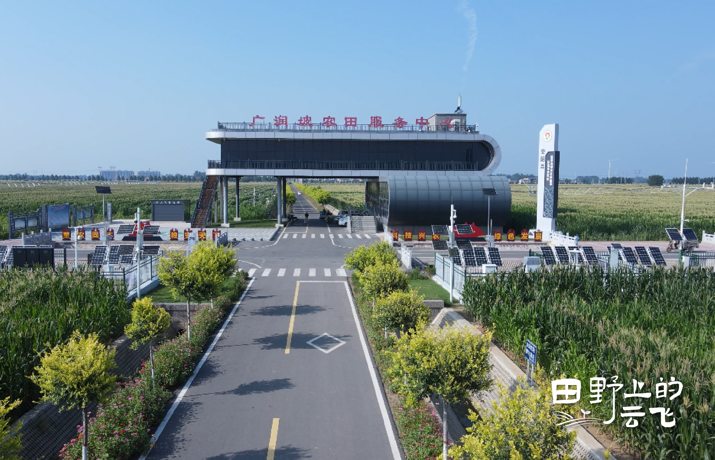安阳广润坡高标准农田示范区 在万亩良田上，建一座数字粮仓