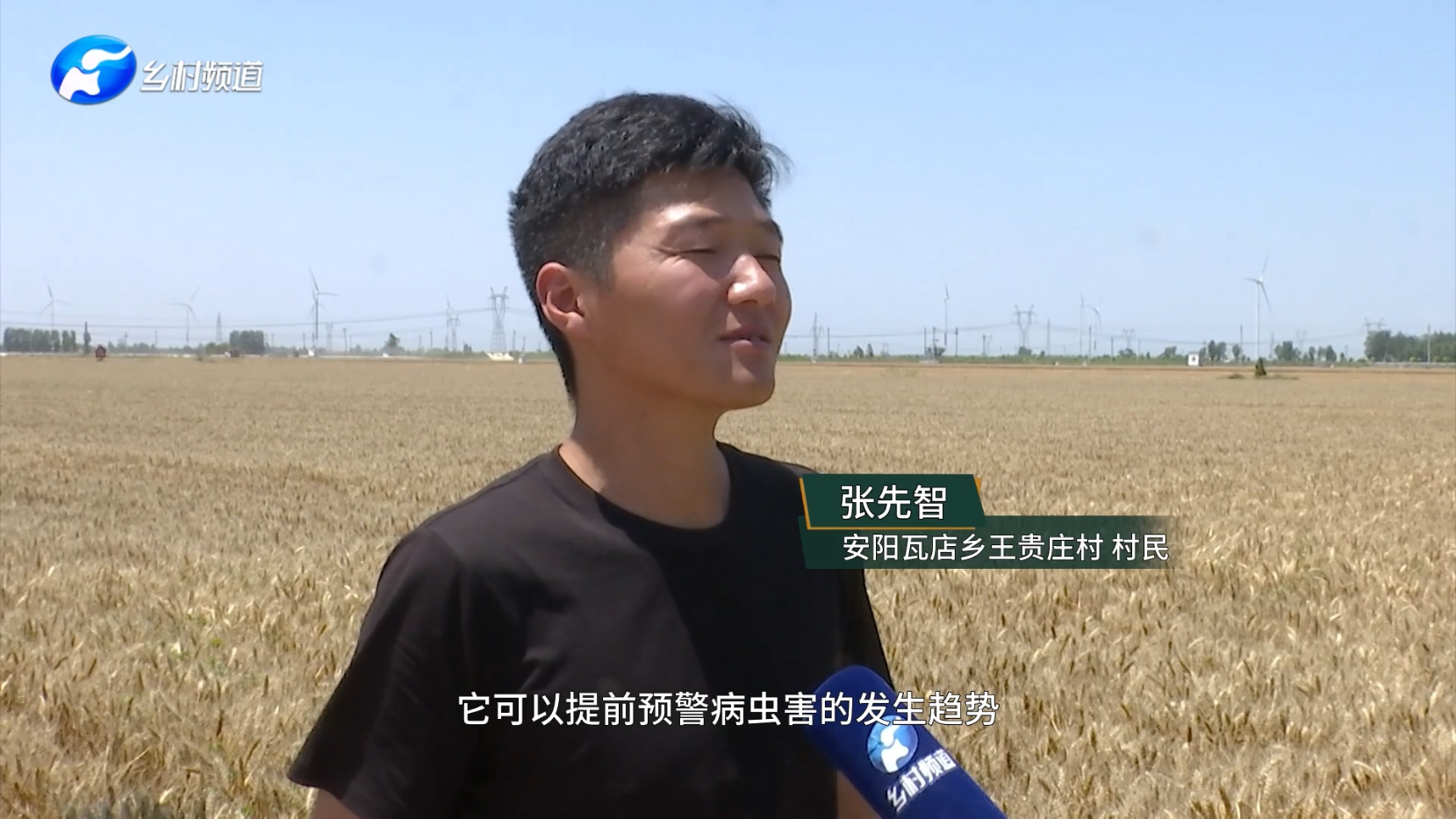 用户证言