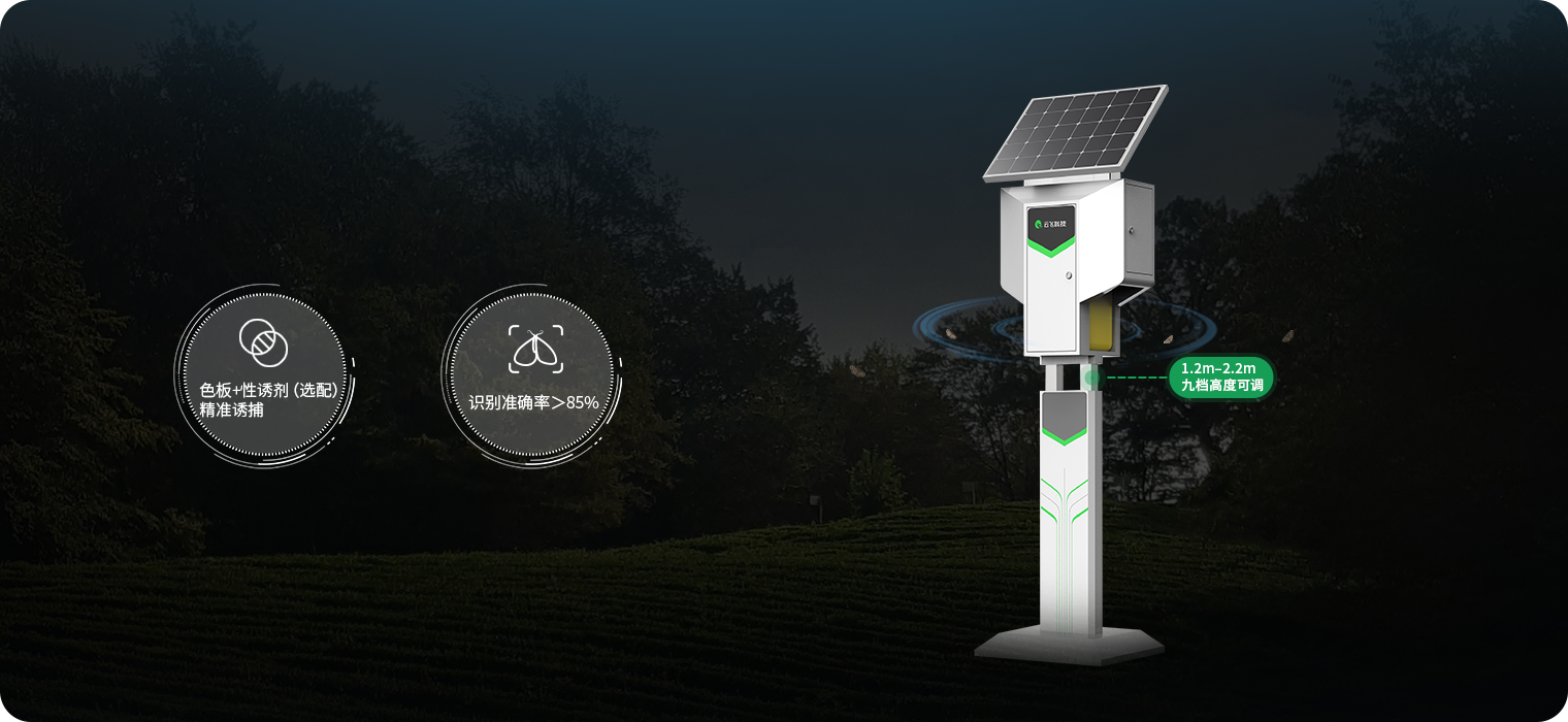 高效引诱  识别准确率＞85%